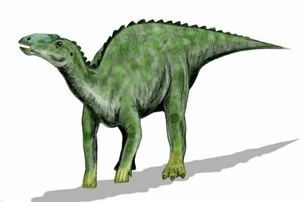 Artist reconstruction of Kritosaurus